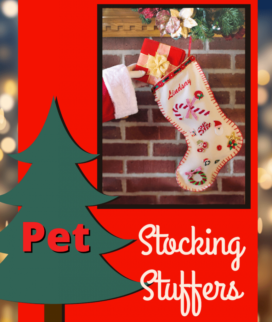pet stocking stuffers