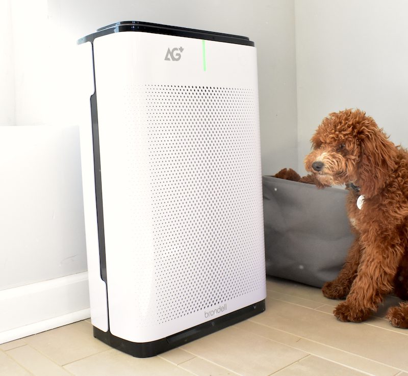 reasons to have an air purifier in your home