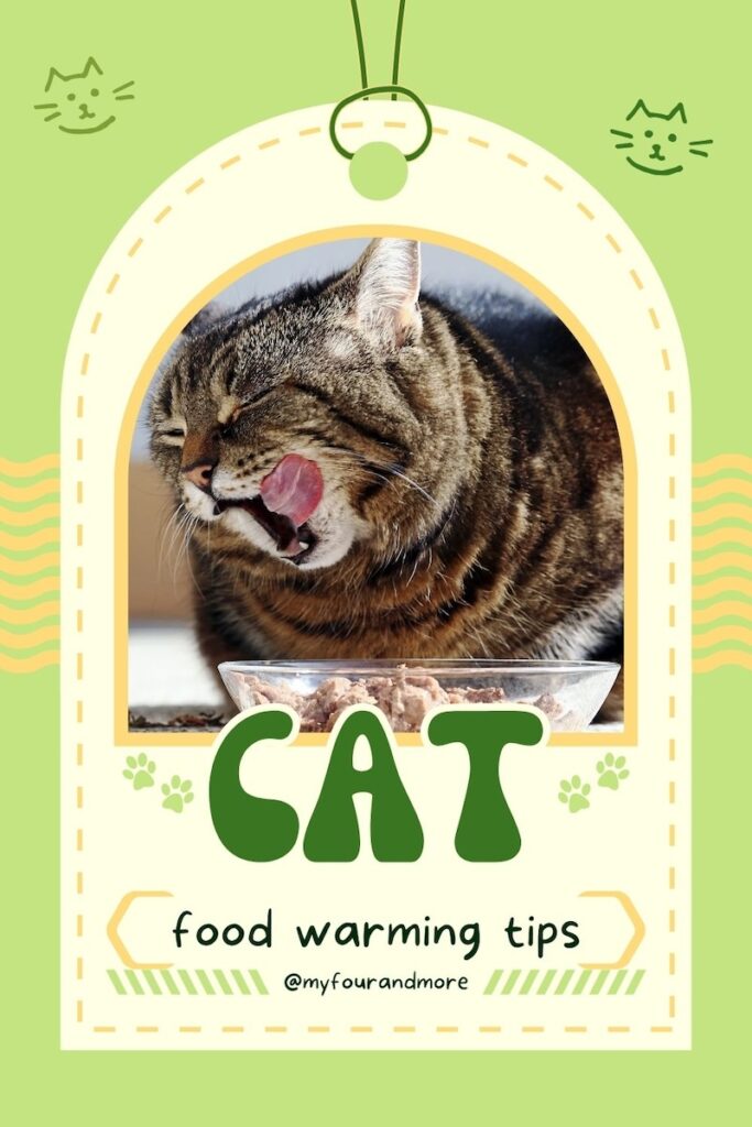 Warm Up Wet Cat Food