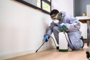 Effective Termite Management