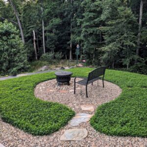 ground cover seeds