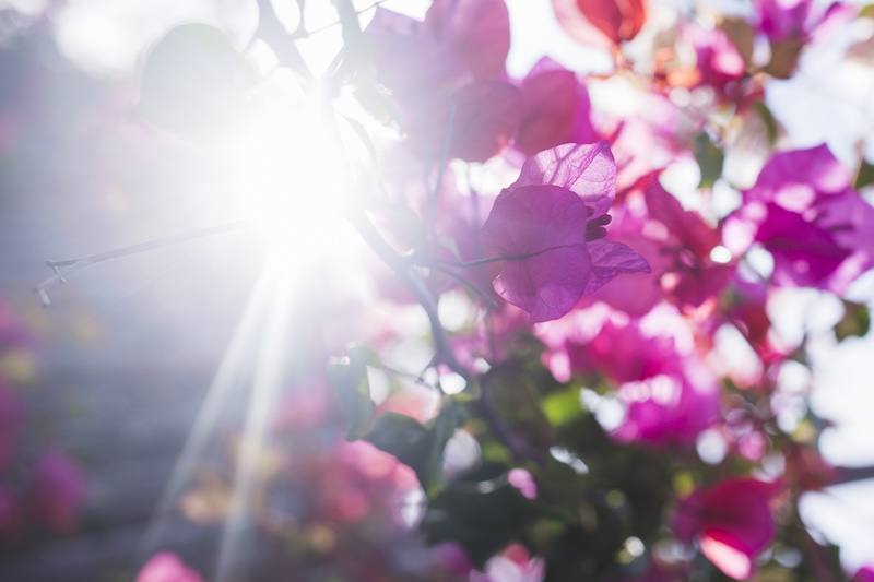 understanding sunlight patterns