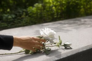 direct vs traditional cremation