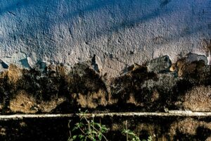 roof water doesn’t drain properly