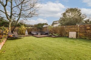 why your backyard