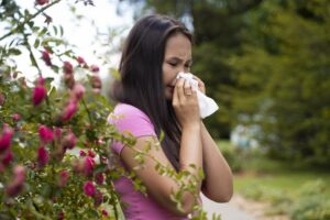 allergy season victim